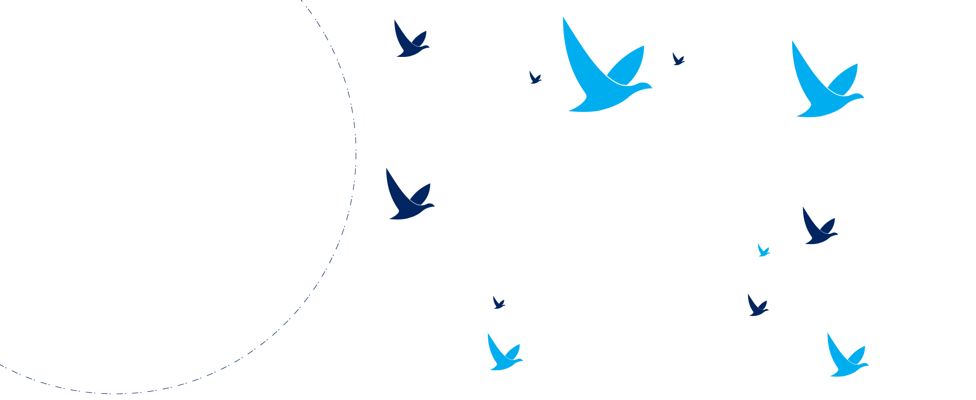 Home 1 birds east