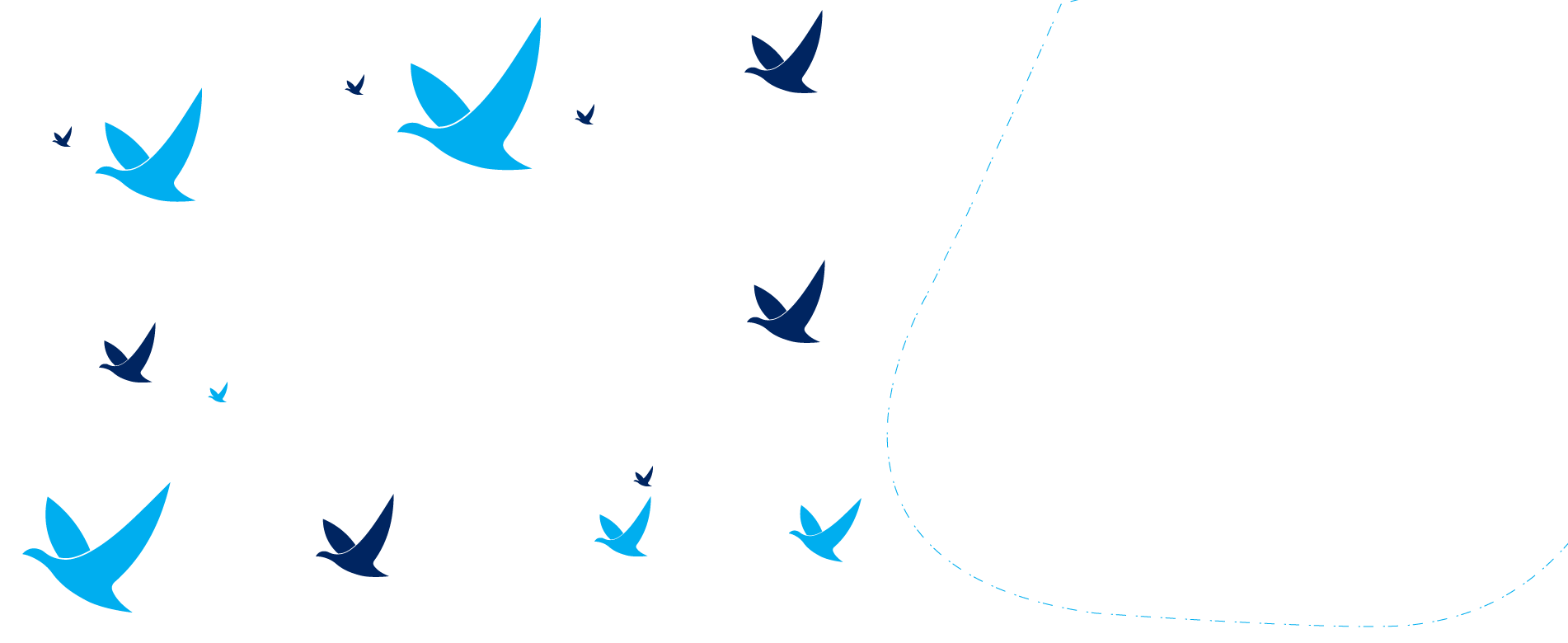 Home 3 birds west