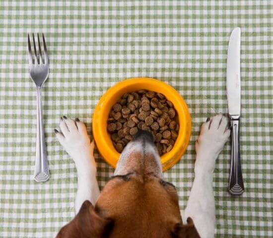 Pet diet food